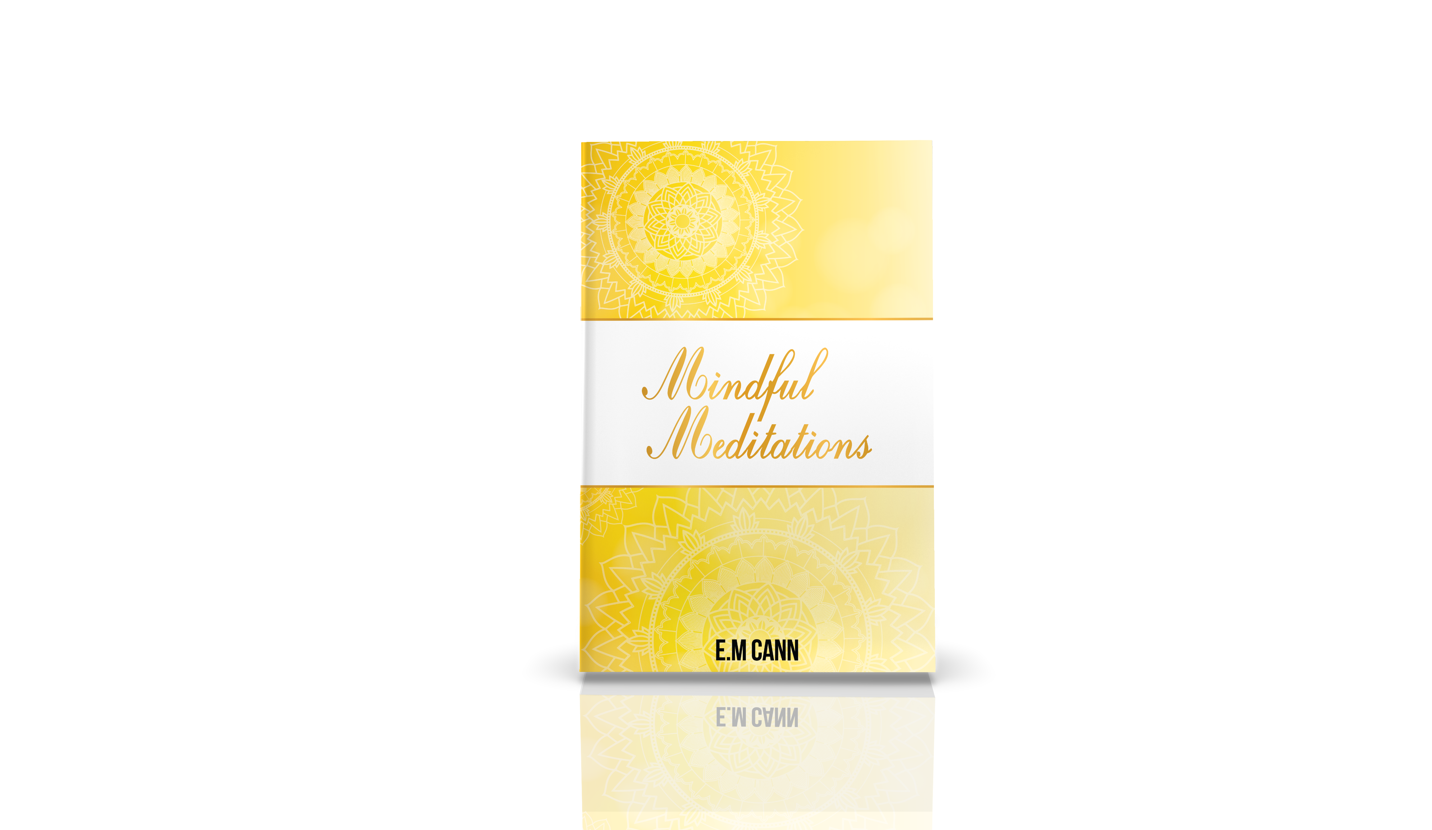 Mindfulness Meditation Book